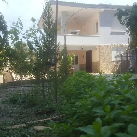 Grandma's House