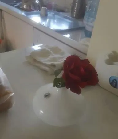 Grandma's House *
