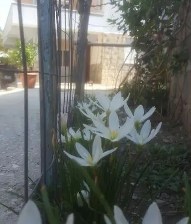 Grandma's House *